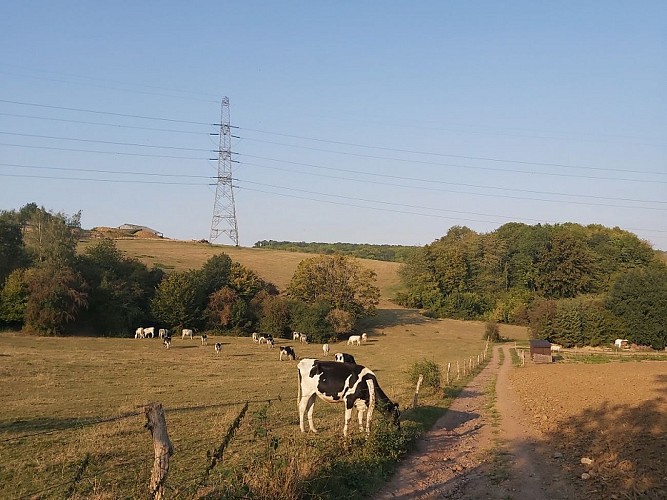 Excursion de Houssoy