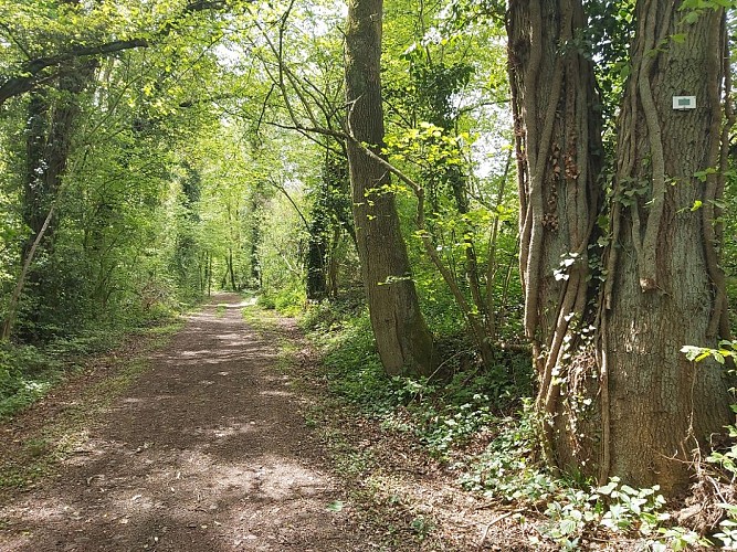 Randonnée des Arches Royales