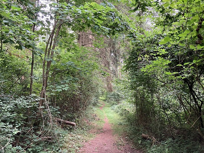 15. Le Fond des Vaux (3)