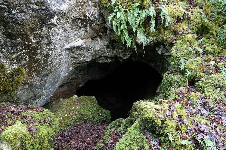 15. Le fond des vaux (1) Trou Pauco (c) Gérard André