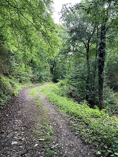 15. Le Fond des Vaux (2)