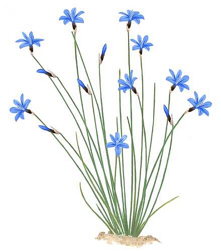 La Traversée Aix-en-Provence - Vauvenargues