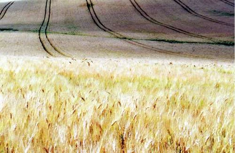 Le grand Tour de Baziège