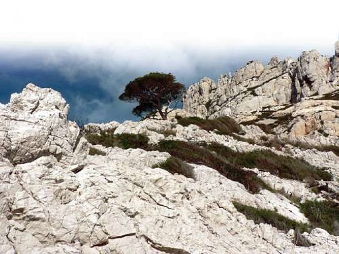 Le belvédère de Saint-Michel