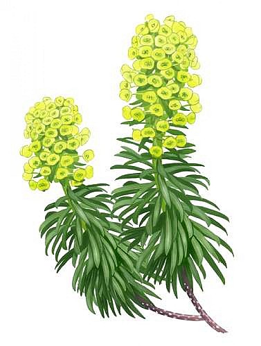 Le belvédère de Saint-Michel