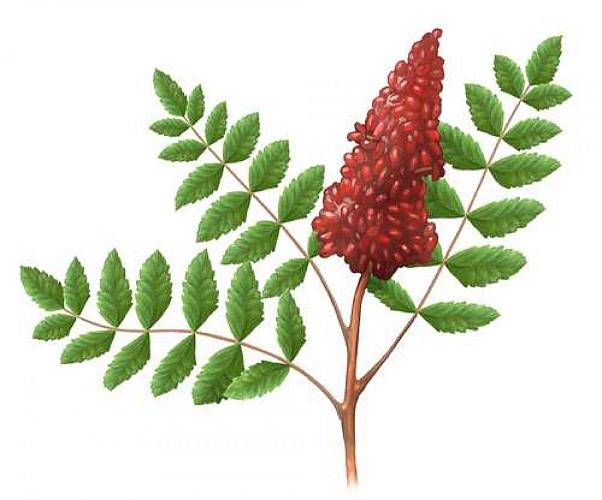 La calanque de Sugiton