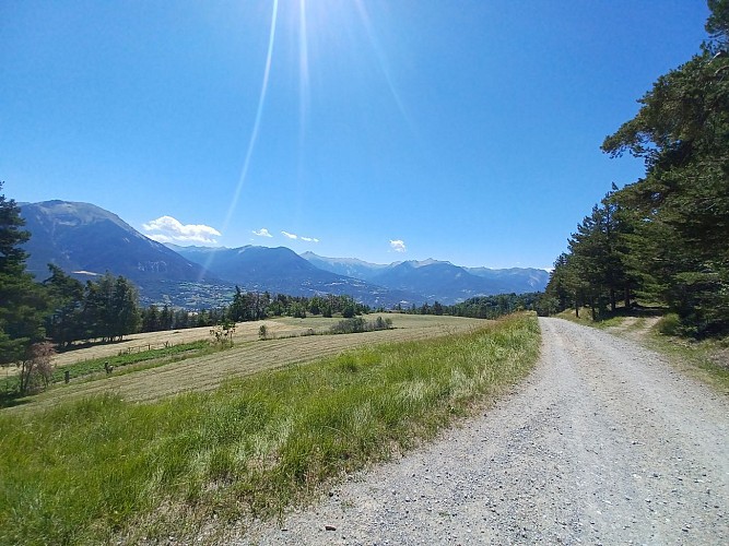 Les Balcons du Mont Guillaume (boucle gravel N°52 rouge)