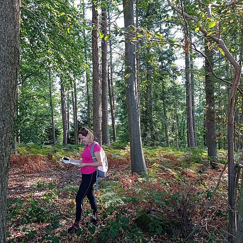 Circuit N°1 : Le Bois Lambert