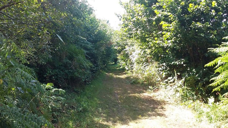 Circuit Ménez Crec'h Bourg - Saint Carré | Lanvellec