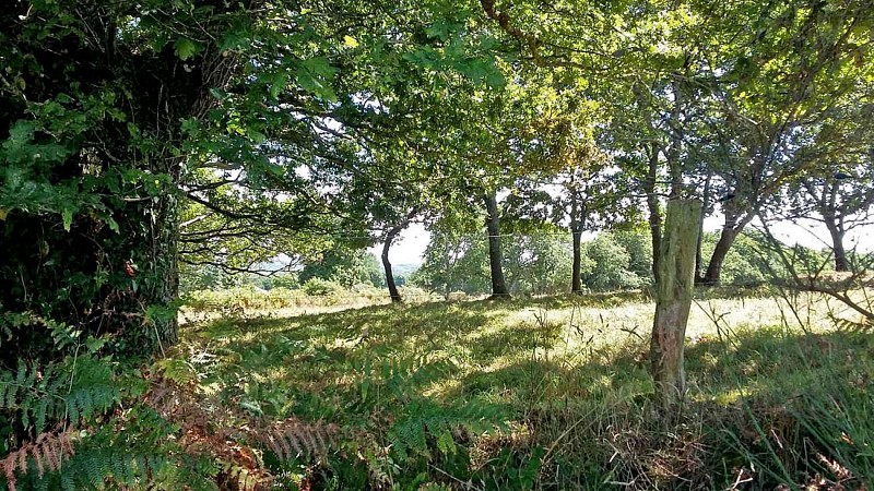 Circuit Ménez Crec'h Bourg - Saint Carré | Lanvellec