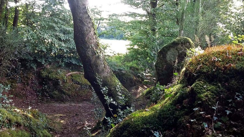 Circuit Ménez Crec'h Bourg - Saint Carré | Lanvellec