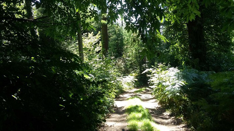 Circuit Ménez Crec'h Bourg - Saint Carré | Lanvellec