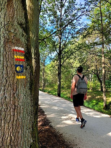 Chemin de Saint-Jacques de Compostelle Paris-Vauhallan