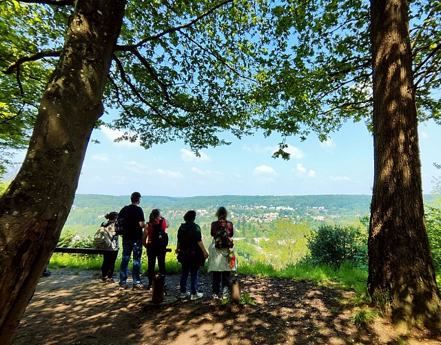 Entre plateau et vallée à Gif-sur-Yvette