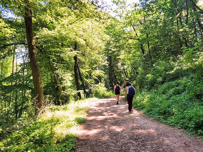 Le grand tour de Villebon-sur-Yvette_Saulx-les-Chartreux