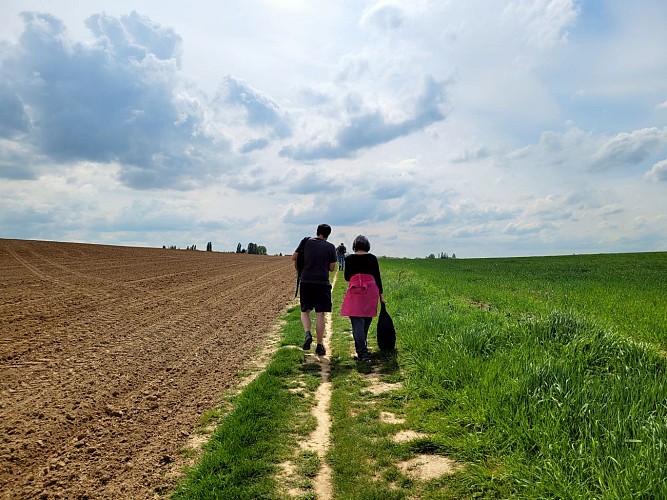 Les rigoles du plateau