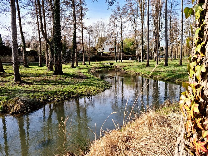 Les rigoles du plateau