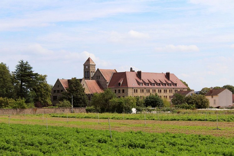 Les rigoles du plateau