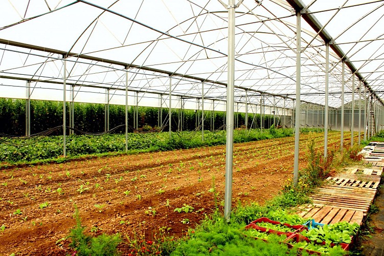 Les rigoles du plateau