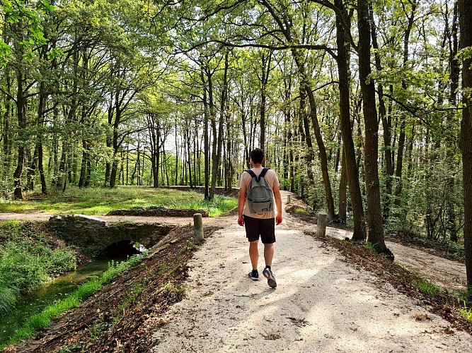 Les rigoles du plateau