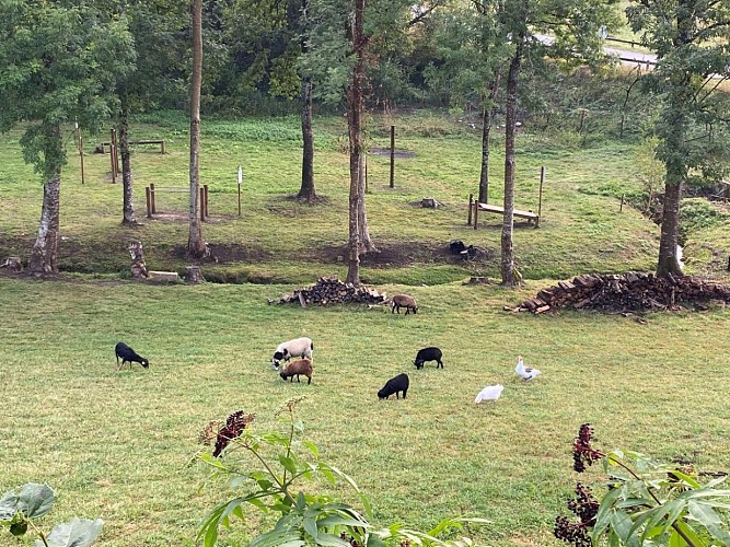 l'écopaturage des Fontanelles