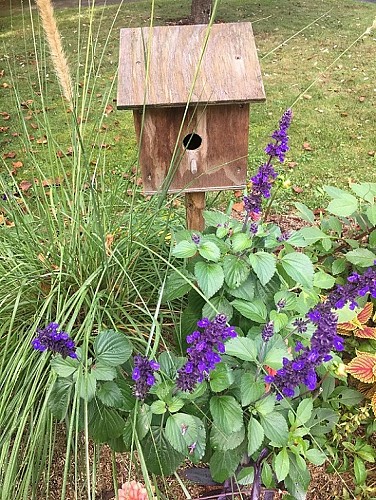 NICHOIRLANOUAILLECD24