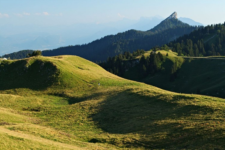 La Pinea depuis le Charmant Som