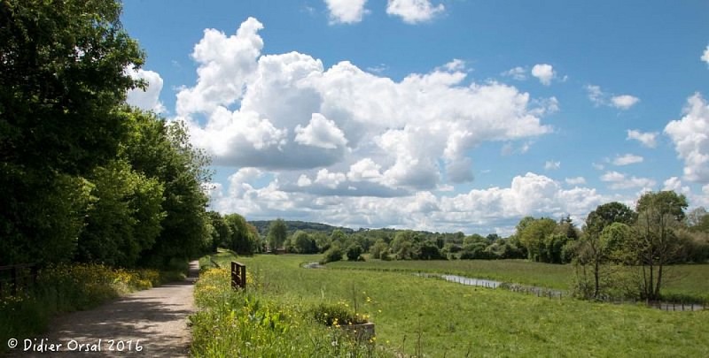 Vallée de la Corbionne