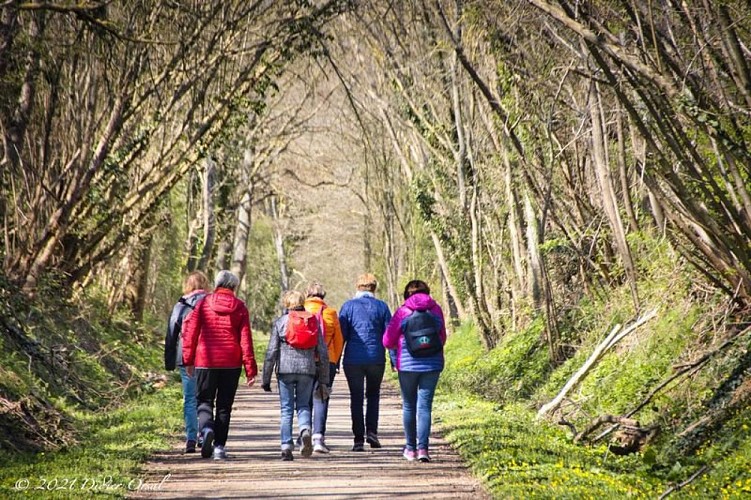 Tranquille, sur la voie verte...