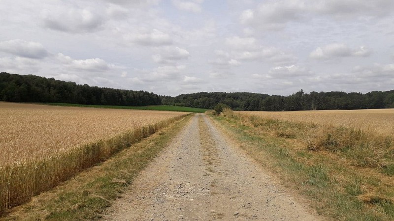 67090992_2251636034892287_8972335081054011392_n