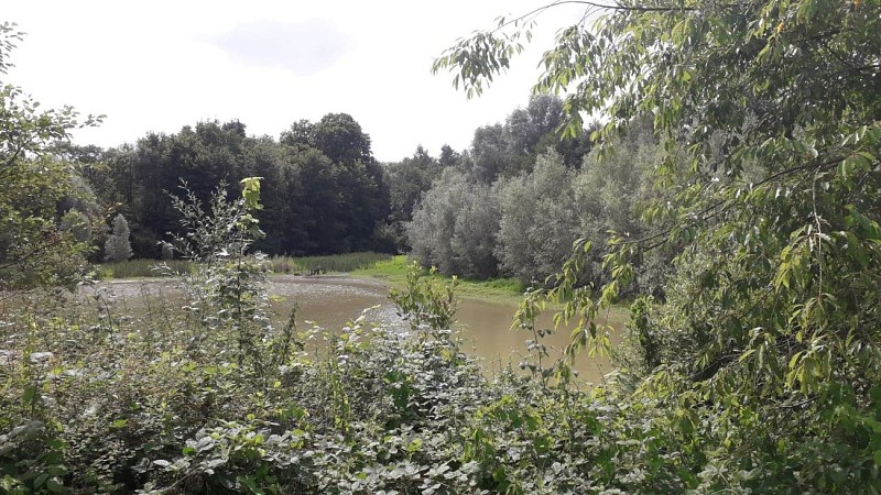 66823811_2384670711590074_4729308005680545792_n_(1)