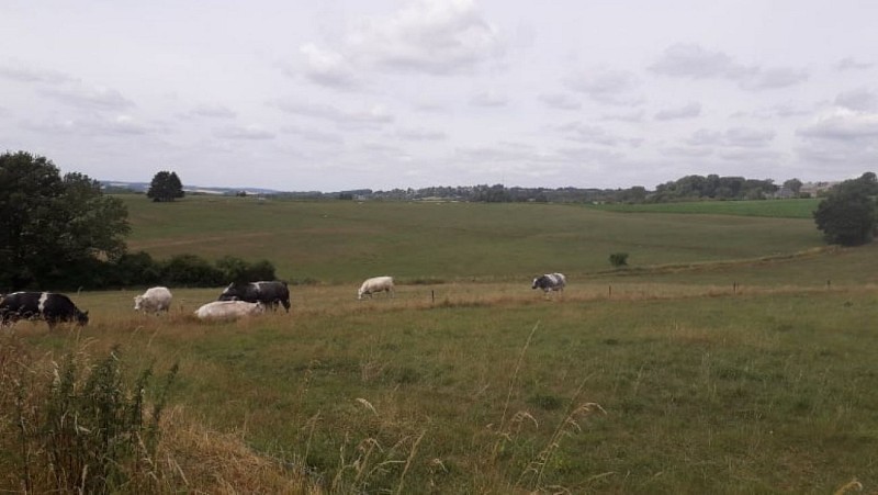 67192281_932413630423074_1200951286359392256_n