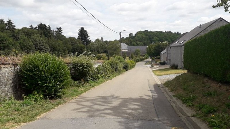 67410069_467655827349454_5341396722885066752_n