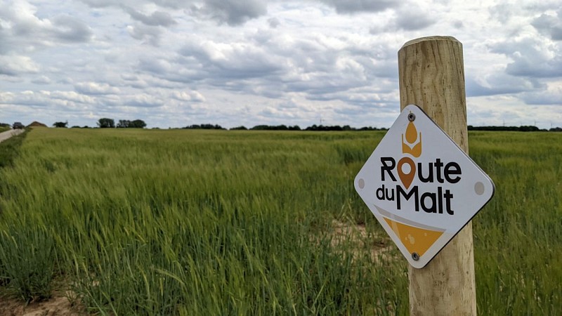 Route-du-Malt-5-Perwez-28-mai-2022-scaled