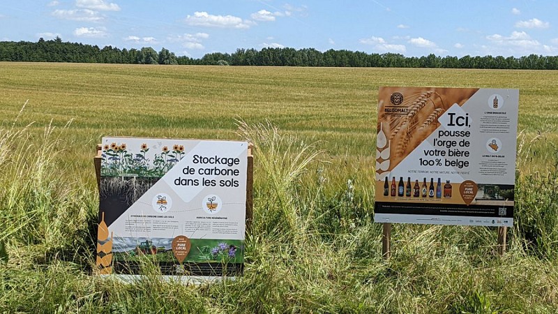 Valducq-route-du-malt-03