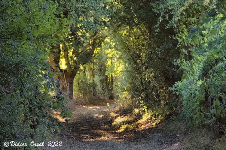 Les chemins de l'histoire