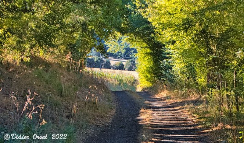 Les chemins de l'histoire