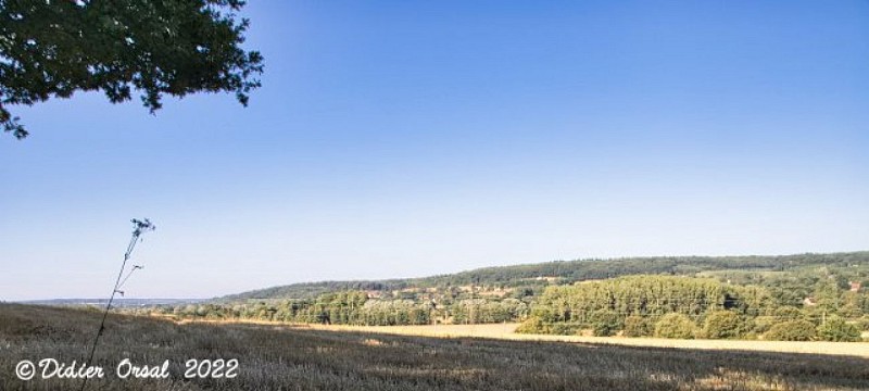 Les chemins de l'histoire