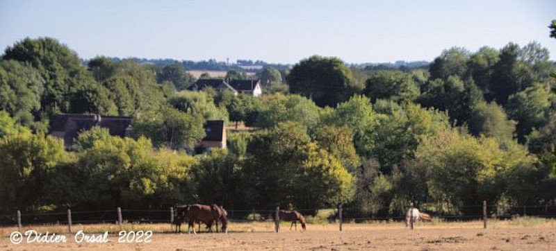 Les chemins de l'histoire