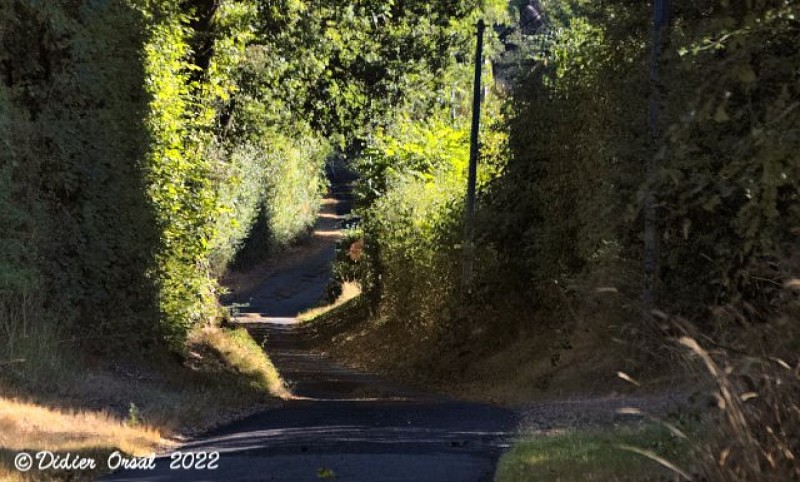 Les chemins de l'histoire