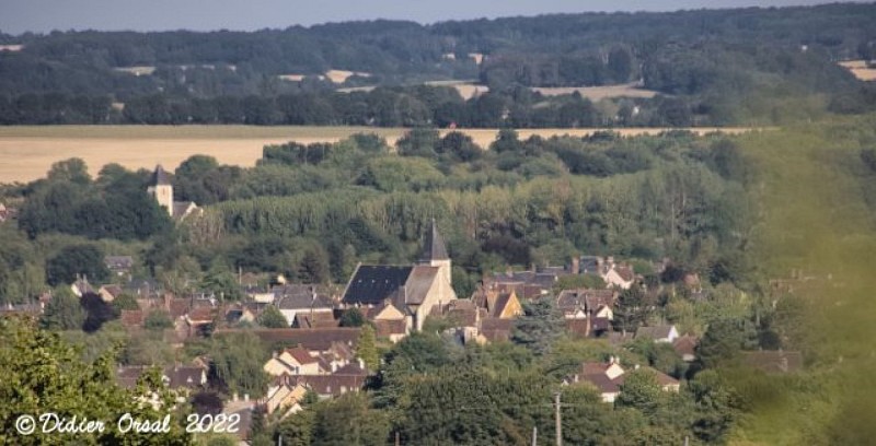 Les chemins de l'histoire