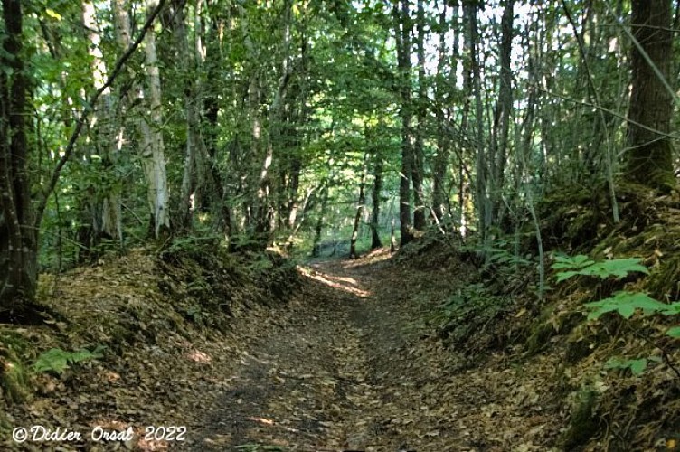 Les chemins de l'histoire