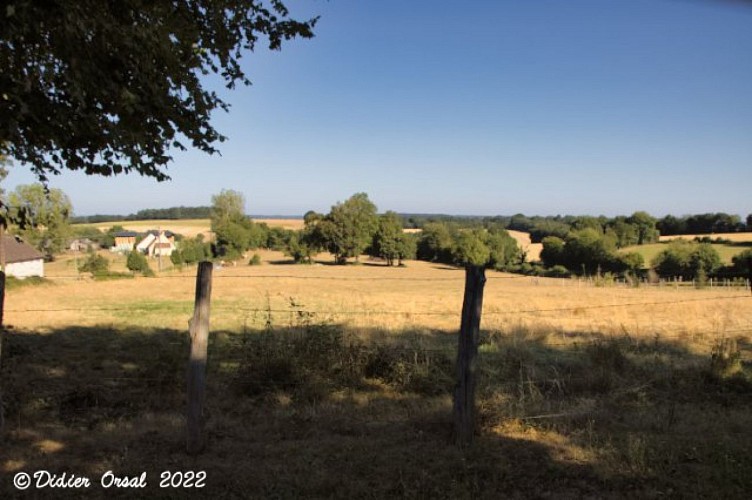 Les chemins de l'histoire