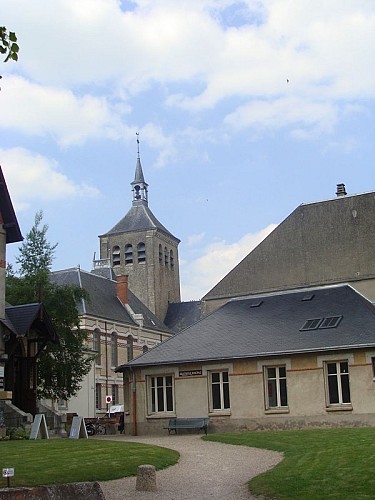 église Saint-Etienne à Jargeau