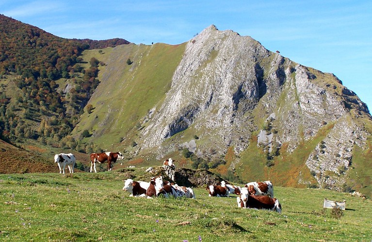 Le balcon du Pibeste