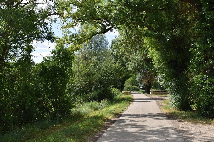 Larçay - Entre rivière et forêt