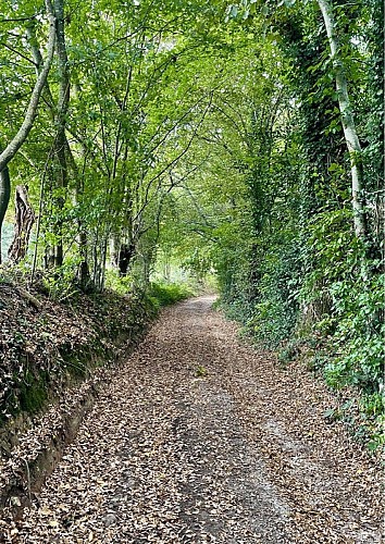 ©Maxence Palcy-OTForêtsduPerche