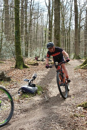 La clairière de Bresolettes
