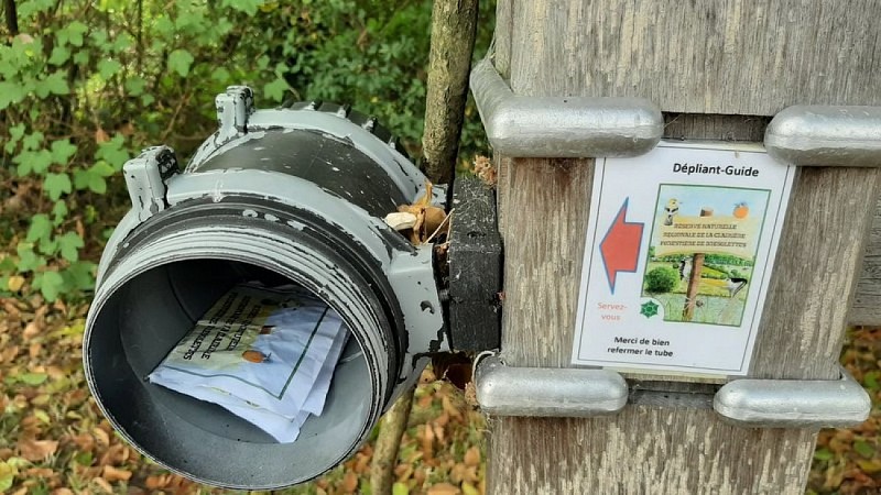 La clairière de Bresolettes