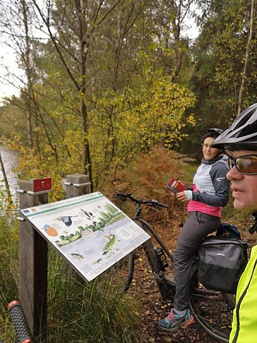 La clairière de Bresolettes